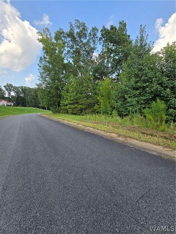 11700 Elam, Northport, AL 35475