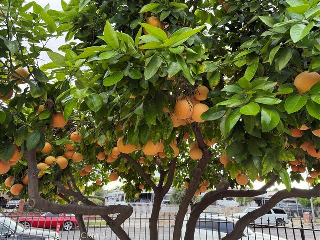 13116 Weidner, Pacoima, CA 91331