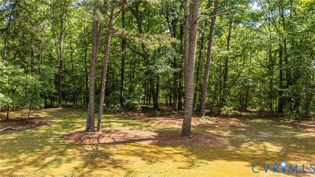 8315 King Dr, Disputanta, VA 23842