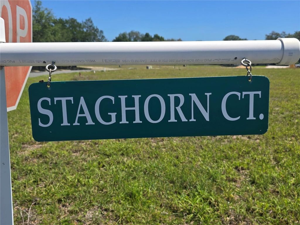 Image 43 of property listing at 14025 STAG HORN COURT, Astatula, FL 34705