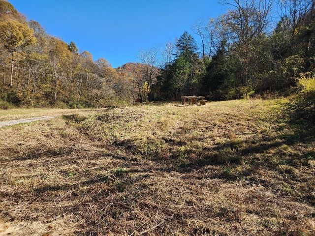 221 Pine Lick Estates Dr, Whitleyville, TN 38588