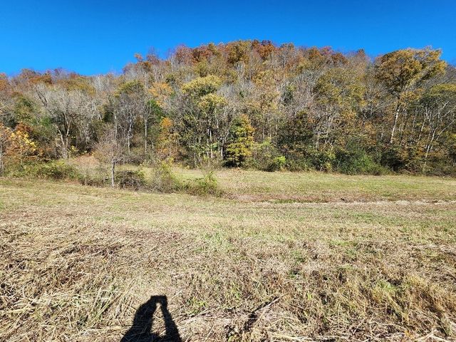 221 Pine Lick Estates Dr, Whitleyville, TN 38588