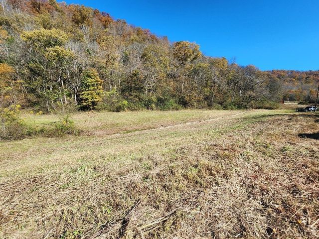 221 Pine Lick Estates Dr, Whitleyville, TN 38588