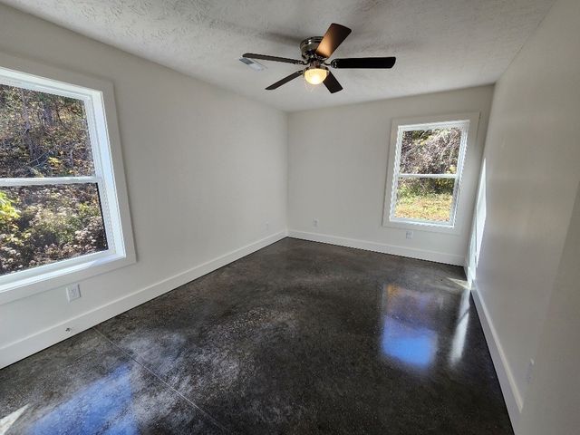 221 Pine Lick Estates Dr, Whitleyville, TN 38588