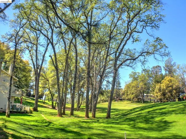 19166 Dyer Ct, Groveland, CA 95321