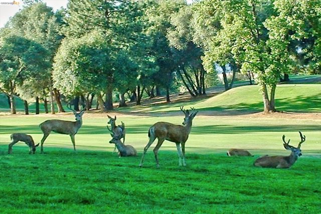 19166 Dyer Ct, Groveland, CA 95321