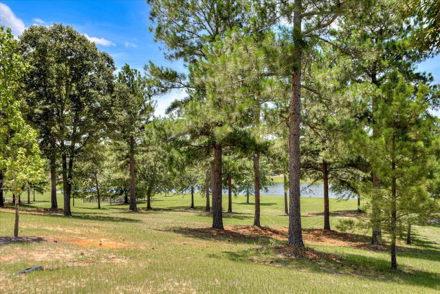 341 Chestnut Brown Court, Warrenville, SC 29851