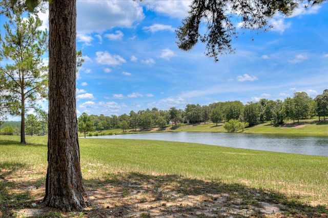 341 Chestnut Brown Court, Warrenville, SC 29851