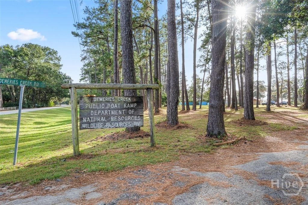 Image 54 of property listing at 145 Demeries Lake Lane, Richmond Hill, GA 31324