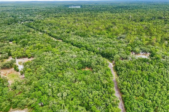 33340 TOMBSTONE ST, Webster, FL 33597