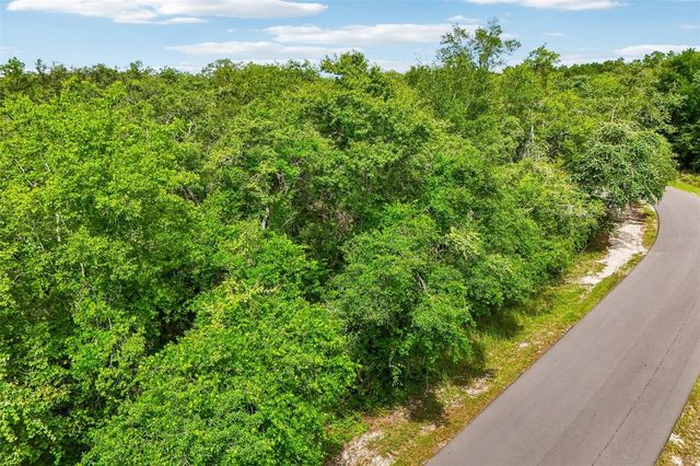 33340 TOMBSTONE ST, Webster, FL 33597