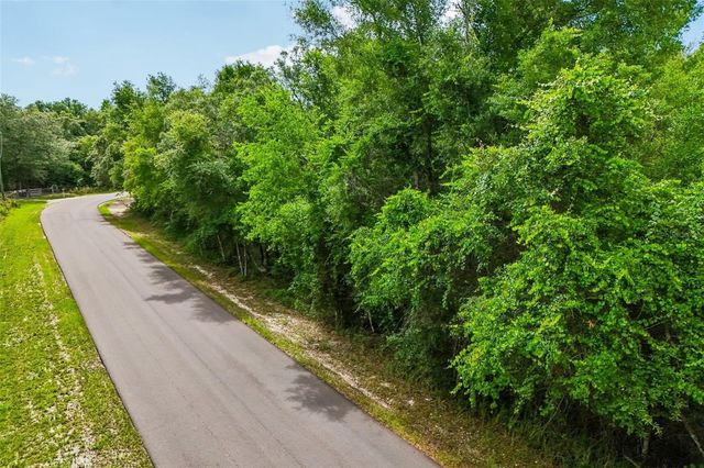 33340 TOMBSTONE ST, Webster, FL 33597