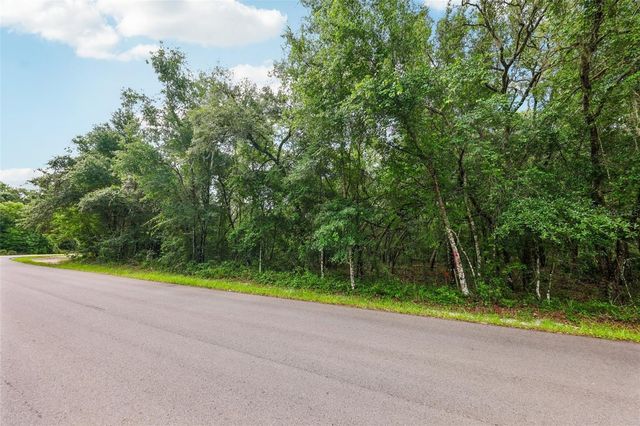33340 TOMBSTONE ST, Webster, FL 33597