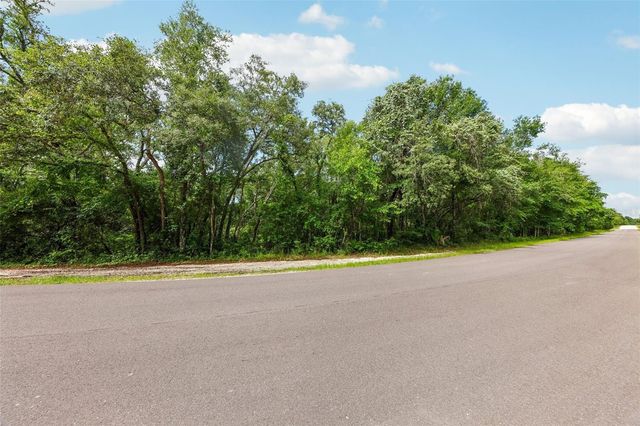 33340 TOMBSTONE ST, Webster, FL 33597