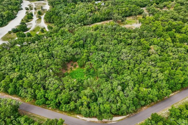 33340 TOMBSTONE ST, Webster, FL 33597