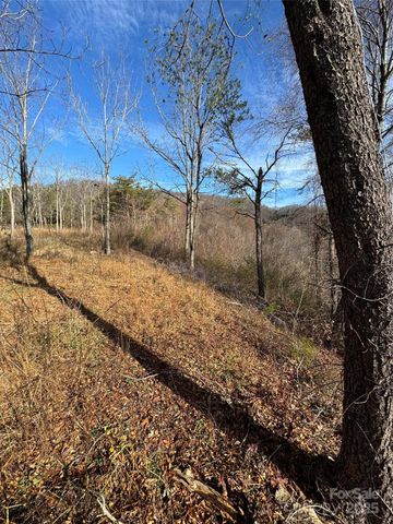 989 High Rock View Drive 50, Canton, NC 28716