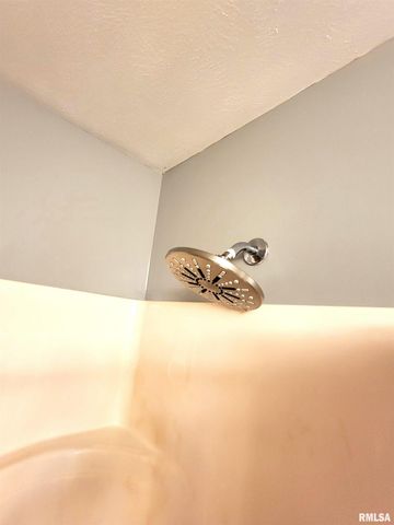 16 Stone Forge Pike, Flora, IL 62839