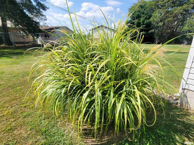 16 Stone Forge Pike, Flora, IL 62839