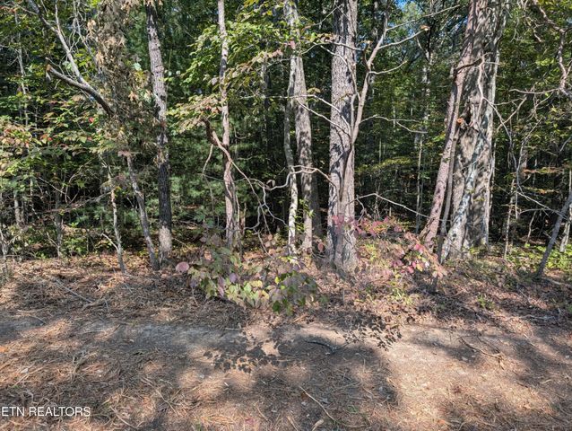 120 Beachwood Drive, Crossville, TN 38558