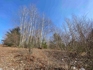 Lot 34 Scenic Hills Drive, Williamsburg, MI 49690