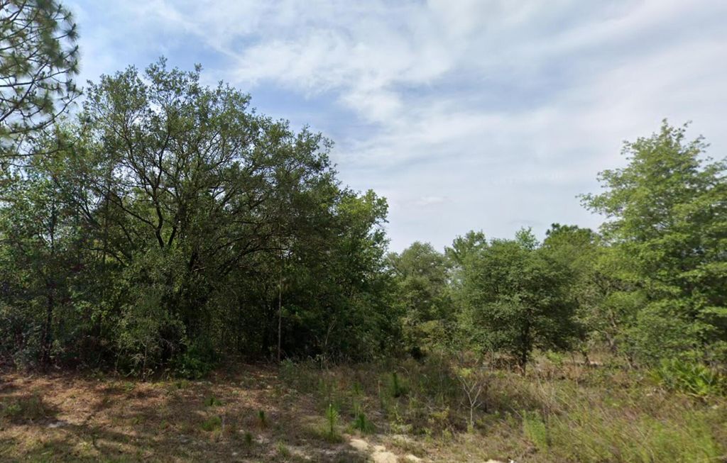 1244 W Pendleton Street, Citrus Springs, FL 34434