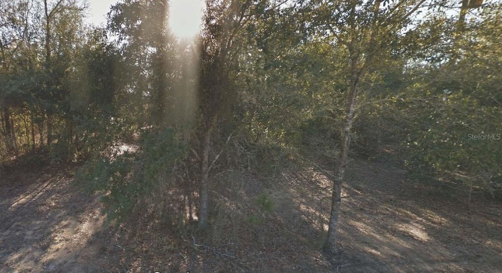 304 CALIFORNIA AVENUE, Interlachen, FL 32148