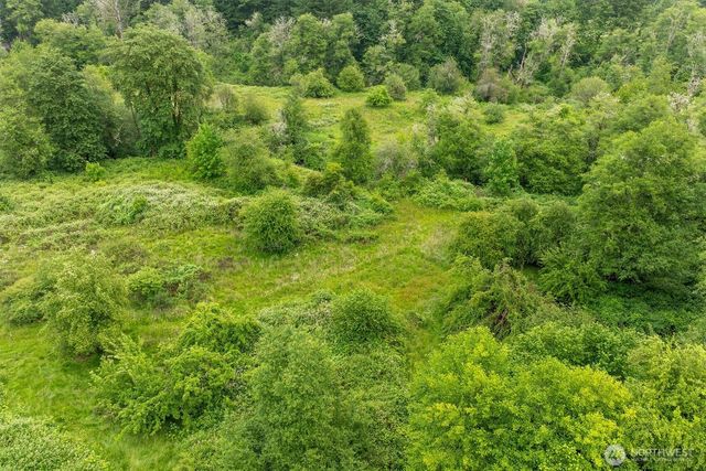 224 Brim Creek Road, Vader, WA 98593