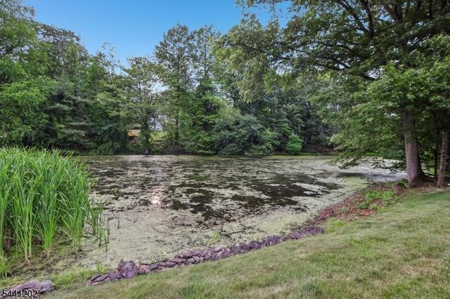 14 Saddle River Ro, Woodcliff Lake Boro, NJ 07677