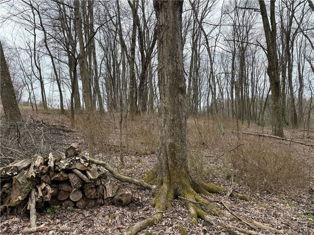 0 Saxonburg Road, Summit Twp, PA 16002