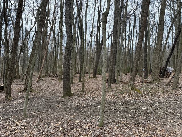 0 Saxonburg Road, Summit Twp, PA 16002