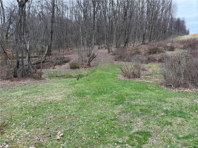 0 Saxonburg Road, Summit Twp, PA 16002