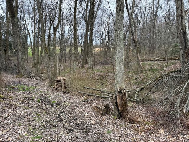 0 Saxonburg Road, Summit Twp, PA 16002