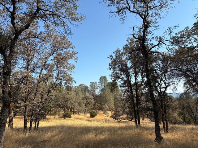 12577 Brooktree Trl, Oregon House, CA 95962