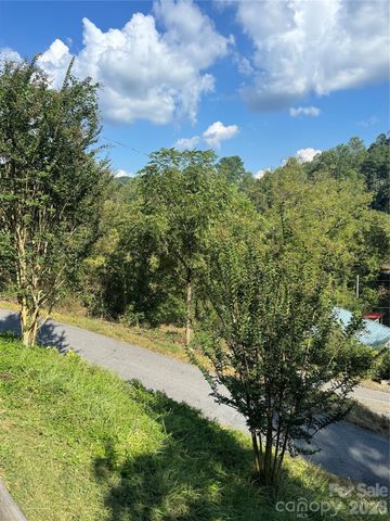 49 Ramsey Road, Marshall, NC 28753