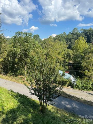 49 Ramsey Road, Marshall, NC 28753