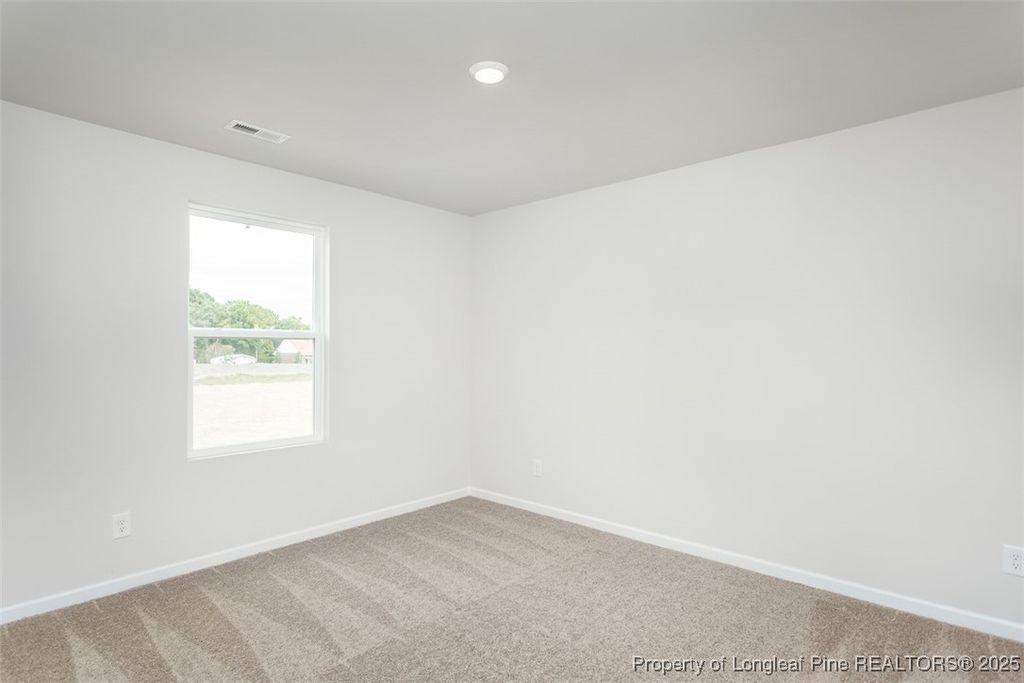 47 Laforce Lane, Broadway, NC 27505 — photo 21
