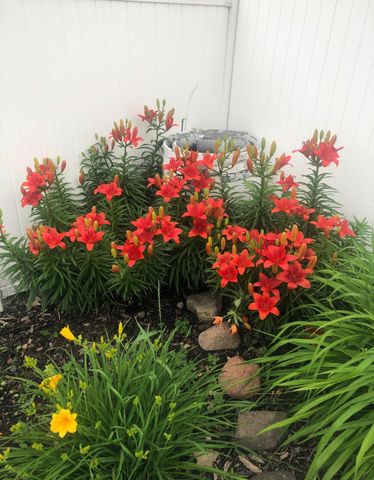 5530 Euclid Way, Farmington, MN 55024