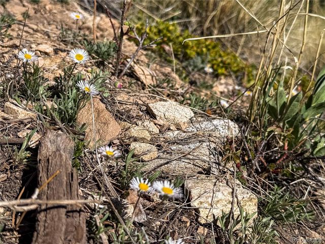 LOT 6829 Ryland Road, Fort Garland, CO 81133
