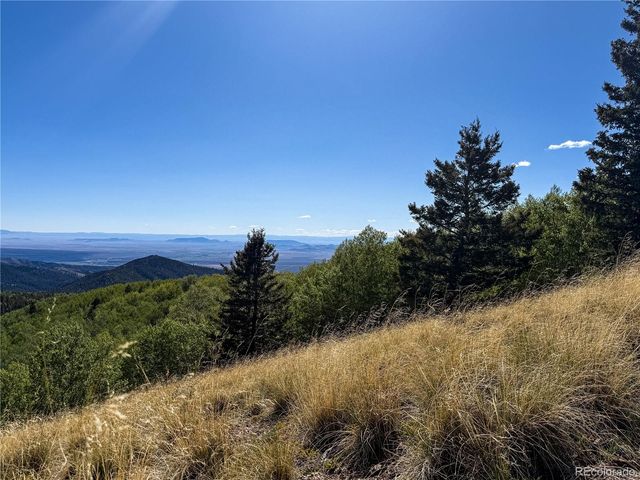 LOT 6829 Ryland Road, Fort Garland, CO 81133