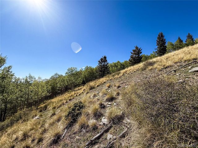 LOT 6829 Ryland Road, Fort Garland, CO 81133