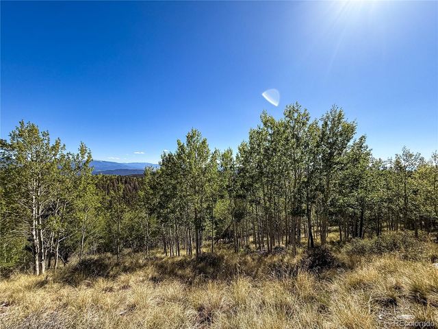 LOT 6829 Ryland Road, Fort Garland, CO 81133