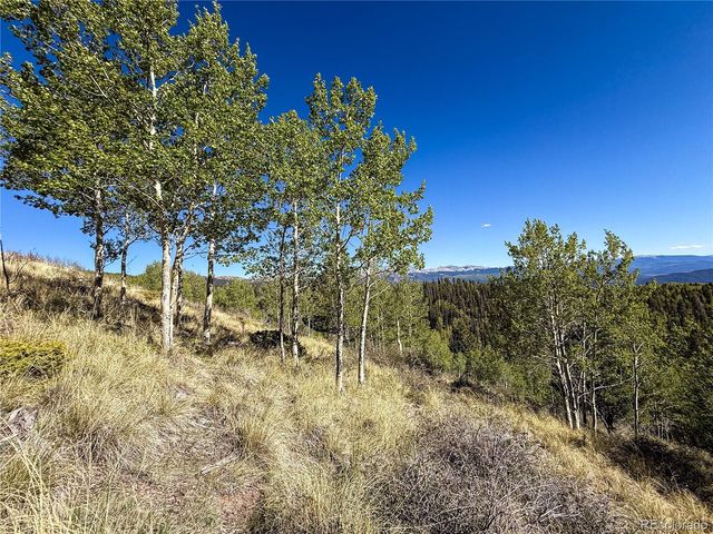 LOT 6829 Ryland Road, Fort Garland, CO 81133
