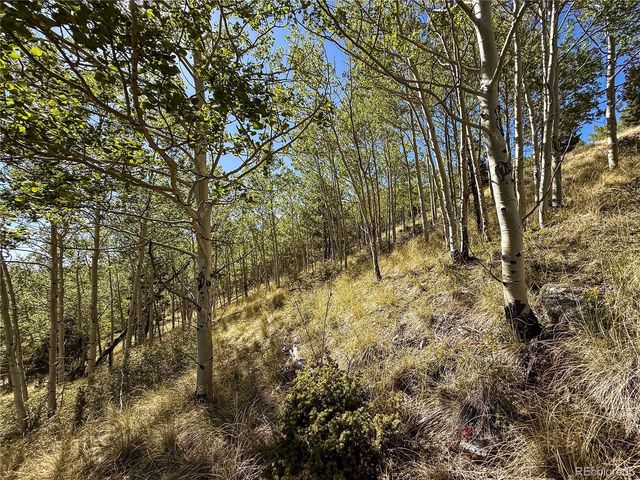 LOT 6829 Ryland Road, Fort Garland, CO 81133