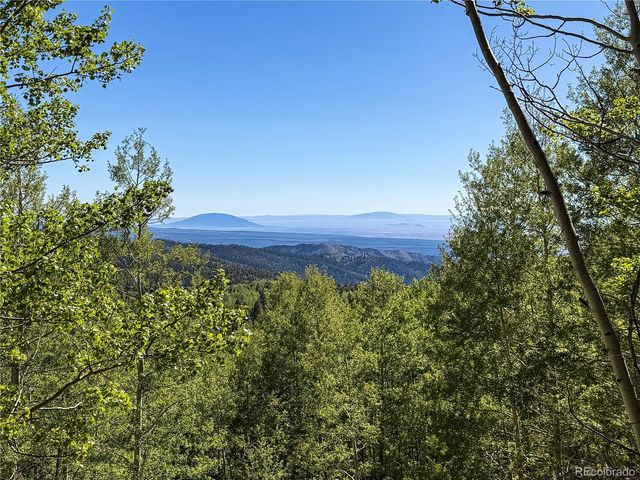 LOT 6829 Ryland Road, Fort Garland, CO 81133