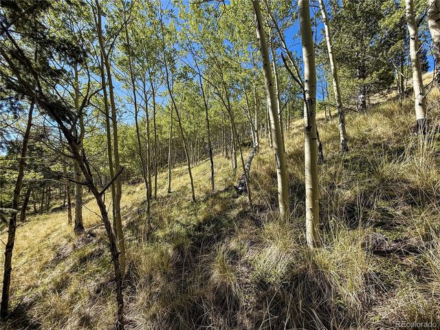 LOT 6829 Ryland Road, Fort Garland, CO 81133