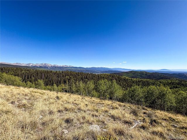 LOT 6829 Ryland Road, Fort Garland, CO 81133
