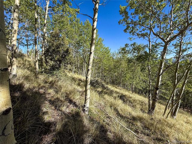 LOT 6829 Ryland Road, Fort Garland, CO 81133