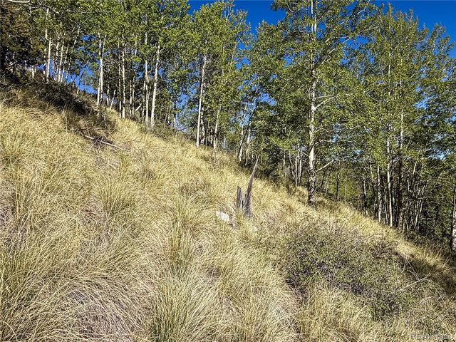 LOT 6829 Ryland Road, Fort Garland, CO 81133
