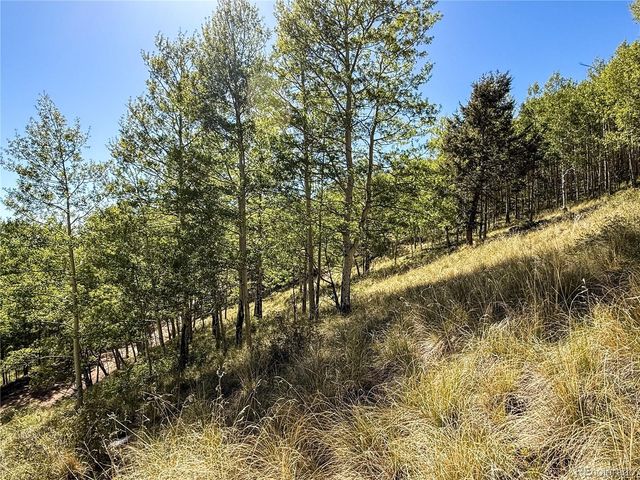 LOT 6829 Ryland Road, Fort Garland, CO 81133