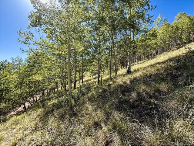 LOT 6829 Ryland Road, Fort Garland, CO 81133
